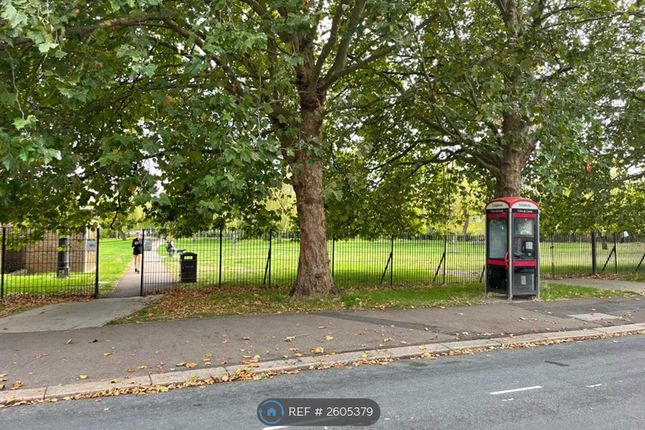 Park Outside