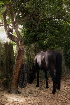 306683 - Blue Gates, Cambridge-88.Jpg