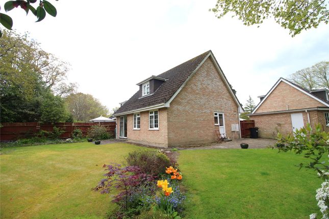 Bungalow for sale in Palmer Place, New Milton, Hampshire