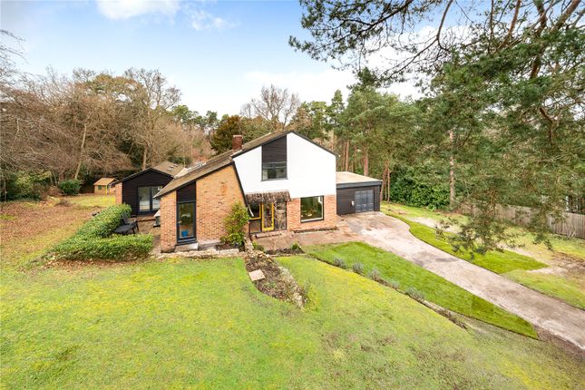 Thumbnail Detached house for sale in Longdown Road, Lower Bourne, Farnham, Surrey
