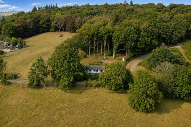 Godre'r Coed, Lampeter, Lampeter photo 2