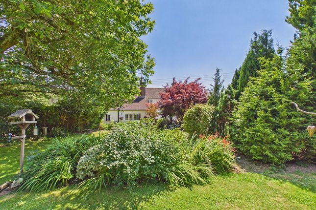 Woodside Farm House, Forest Road, Horsham photo 2
