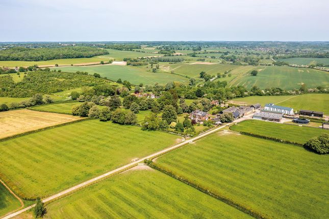 Thumbnail Equestrian property for sale in Arches Hall &amp; Stud, Latchford, Standon