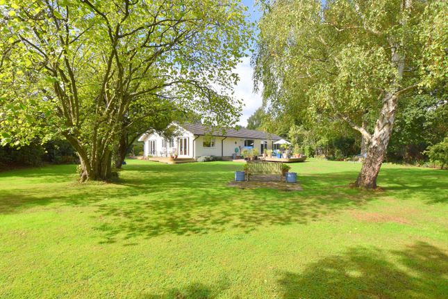 Thumbnail Bungalow for sale in Silkmore Lane, West Horsley
