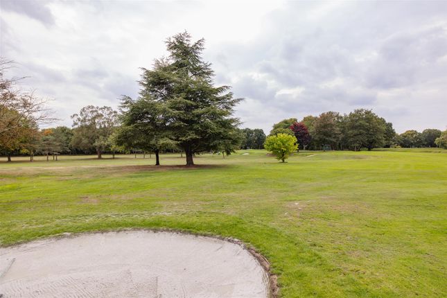 The Warren Drive, E11