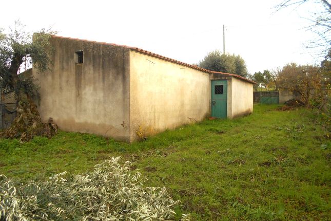 Farm for sale in Ladoeiro, Idanha-A-Nova, Castelo Branco, Central Portugal
