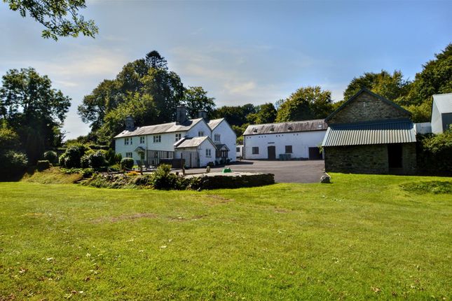 The Property