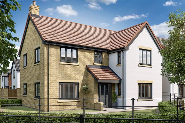 Thumbnail Detached house for sale in "The Bamburgh" at Lipwood Way, Wynyard, Billingham