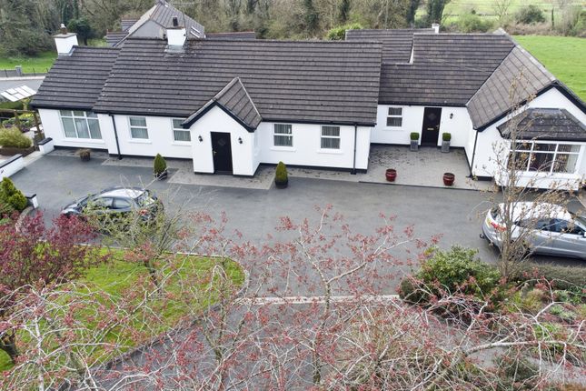Detached bungalow for sale in Seavaghan Road, Ballynahinch
