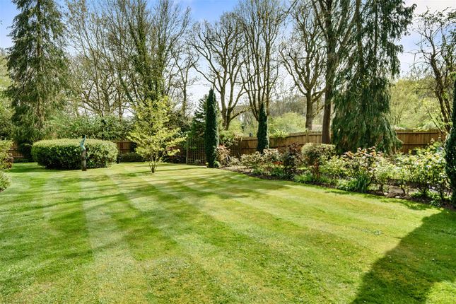 Frillinghurst Cottage, Prestwick Lane, Haslemere photo 3