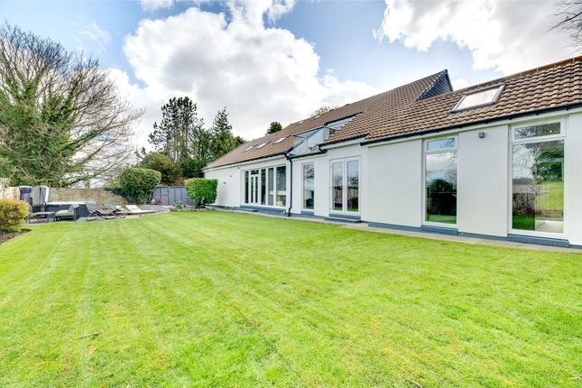 Thumbnail Detached house for sale in Whickham Park, Whickham