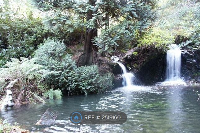 The Waterfalls