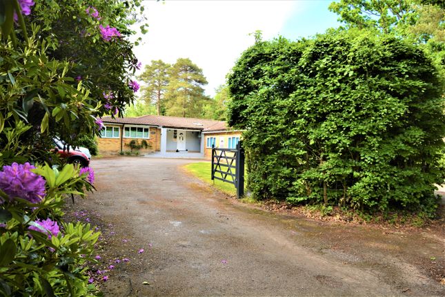Thumbnail Bungalow for sale in Jays, The Crescent, Felcourt, West Sussex