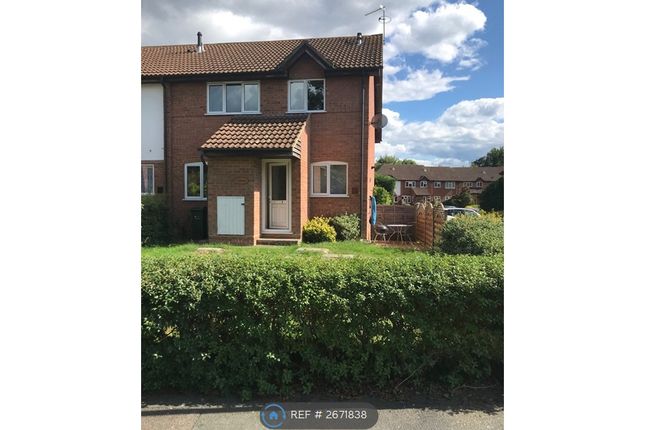 Front Of House And Garden