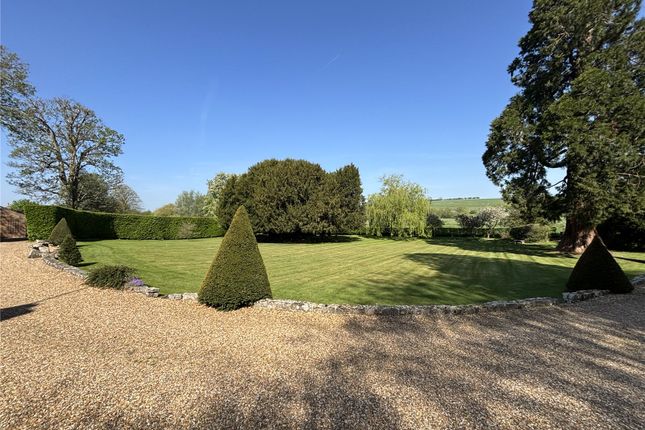 Front Lawn