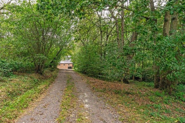 Land for sale in Burnt Lodge Lane, Ticehurst, East Sussex