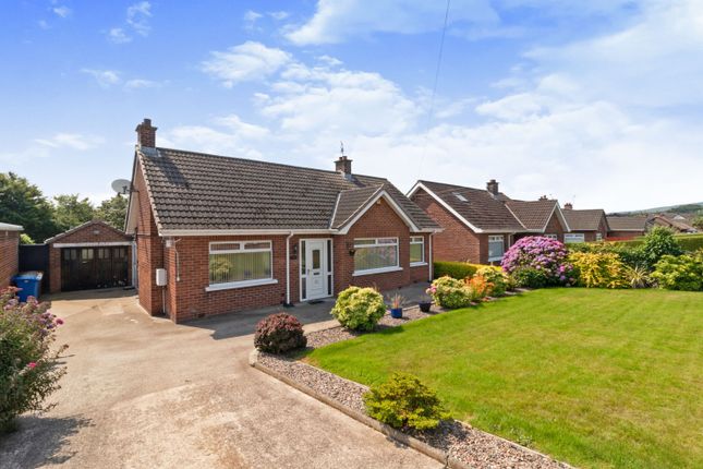 Thumbnail Detached bungalow for sale in Mill Brae, Larne