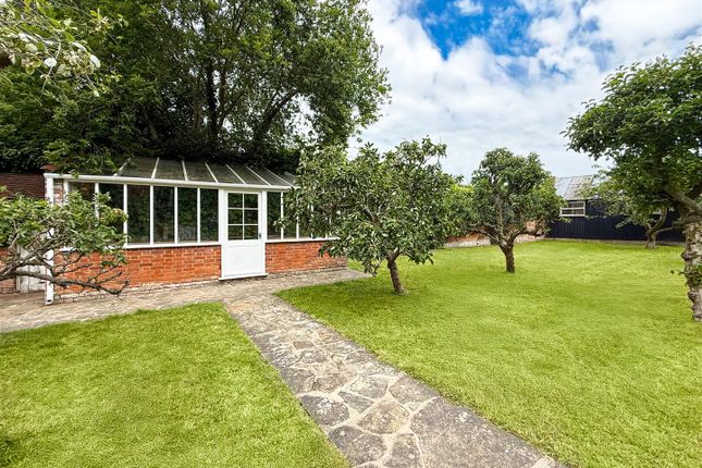 Kitchen Garden