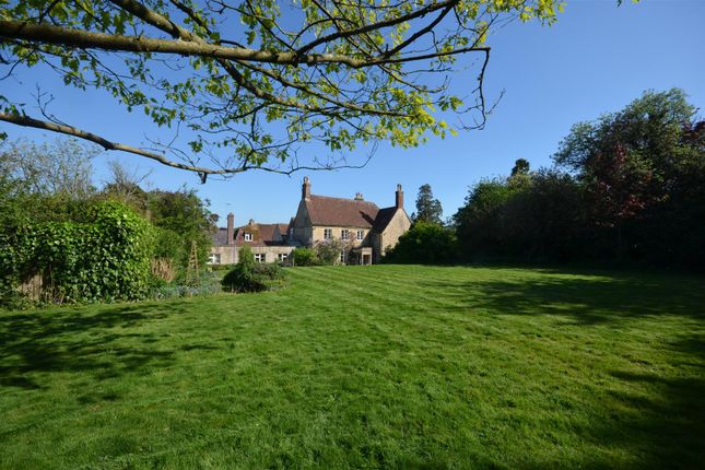 Side And Garden