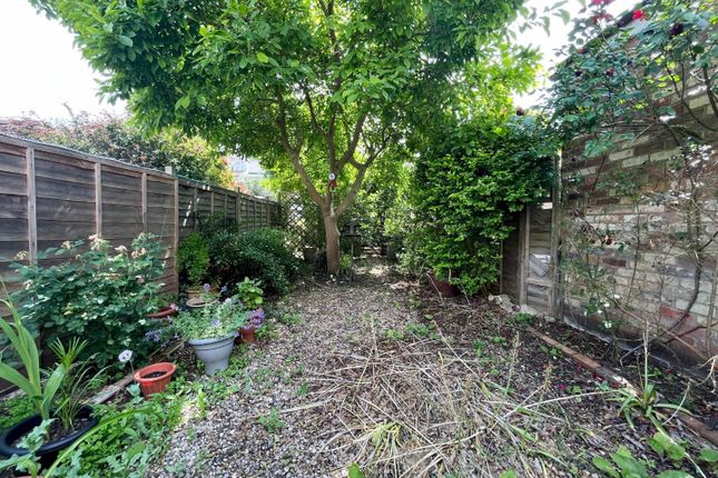 51, Mawson Road, Cambridge photo 3