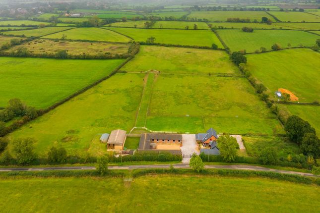 Aerial View Of Land