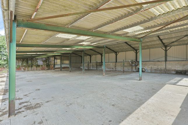 High Noon Farm, High Noon Lane, Norwich photo 4