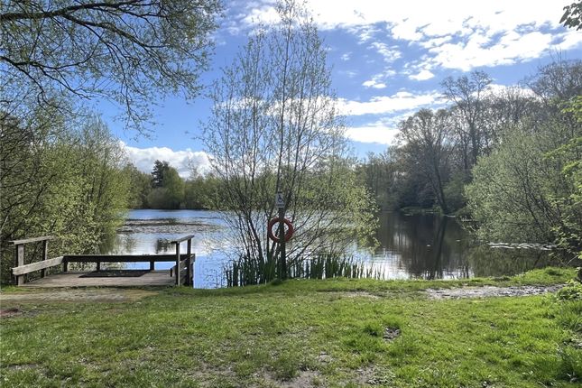 Terraced house to rent in Kingley Common, Kingsley, Bordon, Hampshire