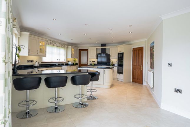 16, Cwmtawe Road, Swansea photo 2