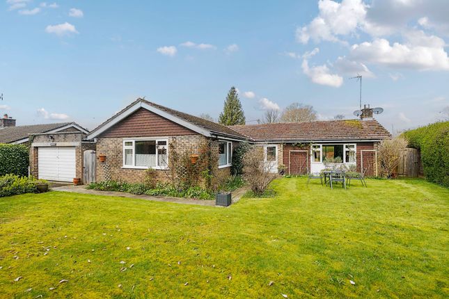 Thumbnail Detached bungalow for sale in Pound Close, Loxwood