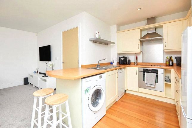 56, Badgerdale Way, Derby photo 4