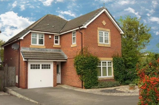 Thumbnail Detached house to rent in Kidston Drive, Crewe