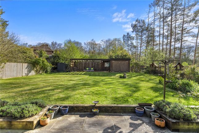 1 Nutbourne Cottages,, Roundals Lane, Godalming photo 3