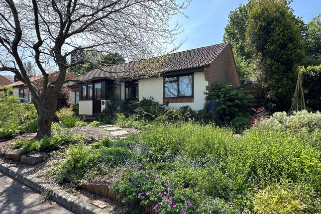 Detached bungalow for sale in Mansell Close, Bexhill-On-Sea
