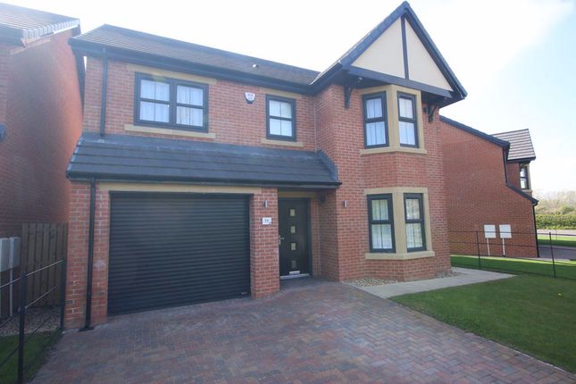 Thumbnail Property to rent in Oaktree Close, Middleton St. George Darlington, Middleton St George
