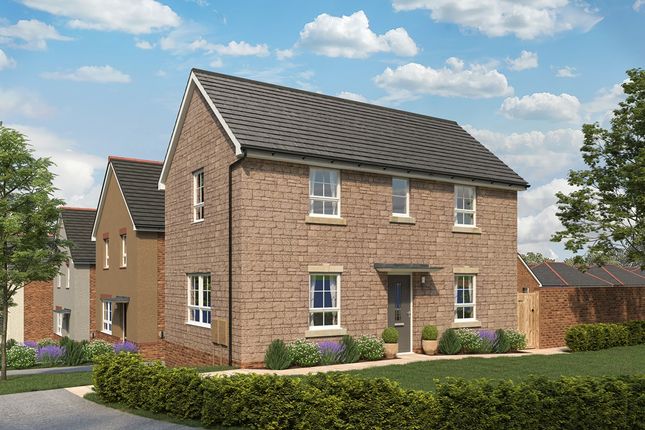 Thumbnail Detached house for sale in "Moresby" at Nexus Way, Okehampton