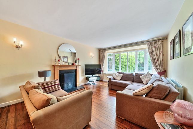 75, Broomleaf Road, Farnham photo 2