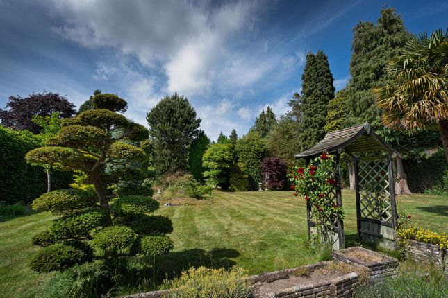Brookhurst, Sevenoaks photo 4