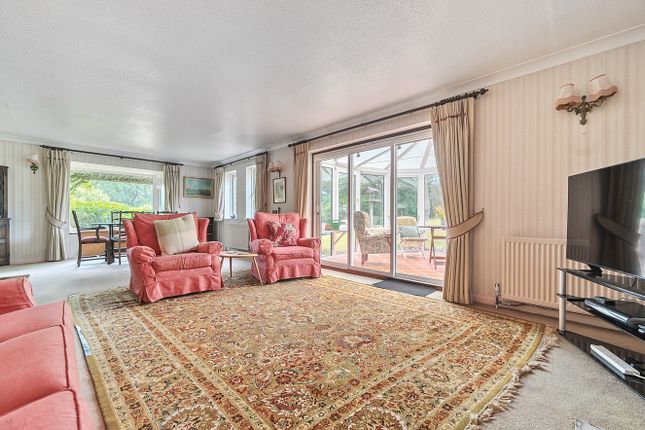 9, The Meadows, Farnham photo 4