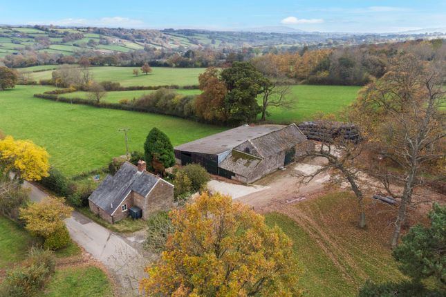 New Barns Farm