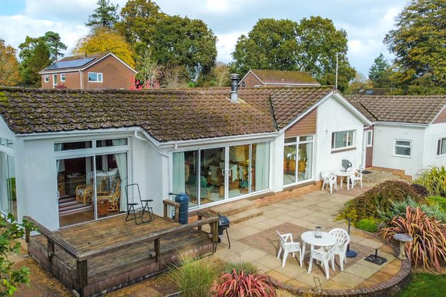 4-bed bungalow on 5 Warren Park, Ottery St Mary, £650,000
