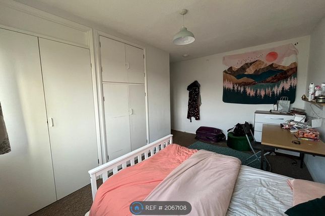 Semi-detached house to rent in Colchester, Colchester