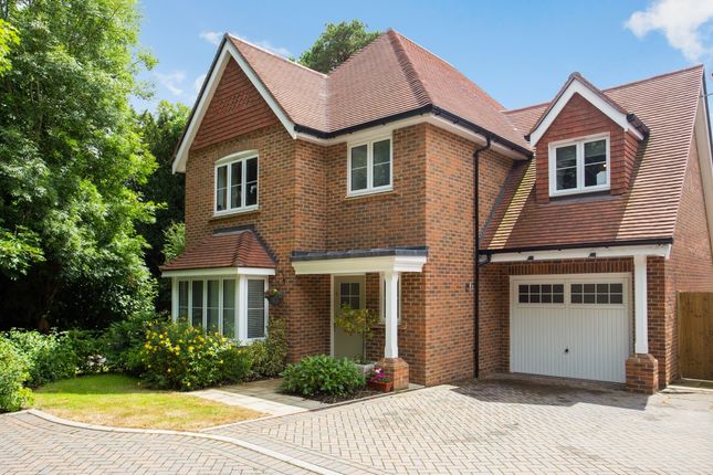 Detached house to rent in Sycamore Road, Cranleigh