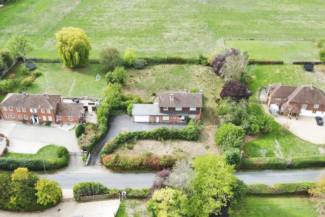 Monk Sherborne, Sanctuary, Tadley photo 2