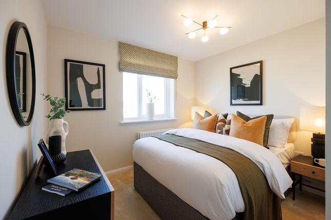 Vdsw Bh Pastures Rowan (9)