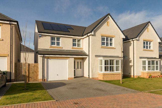 Image of 34 Damselfly Road, Edinburgh, EH17 8XG
