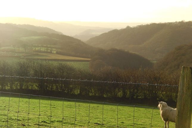 The Land &amp; Views