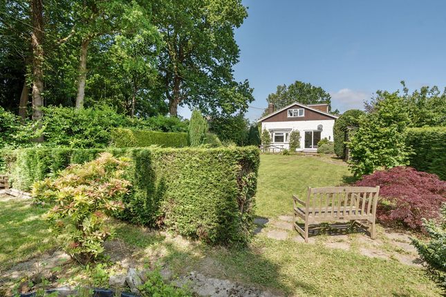 Thumbnail Detached bungalow for sale in Hawksfold Lane West, Haslemere
