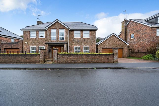 Thumbnail Detached house for sale in Moorland Avenue, Newton, Swansea