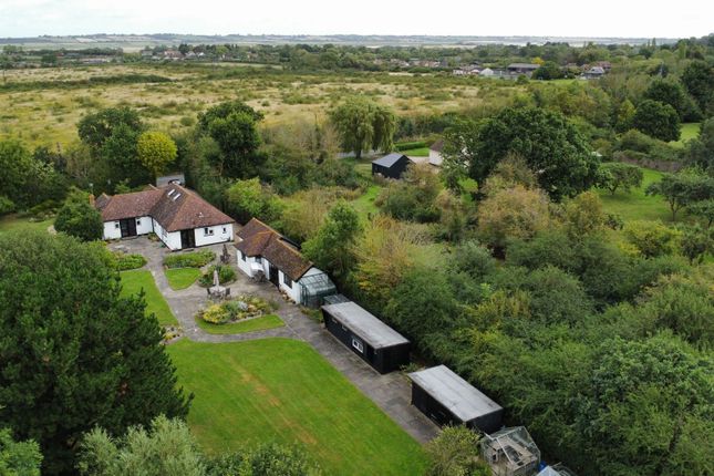 Detached bungalow for sale in Lark Hill Road, Canewdon, Rochford, Essex