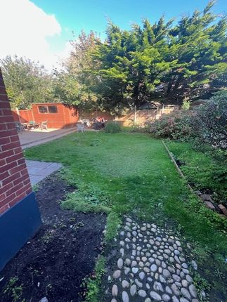 Communal Garden